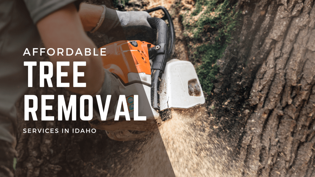 Affordable Tree Removal Services in&nbsp;Idaho
