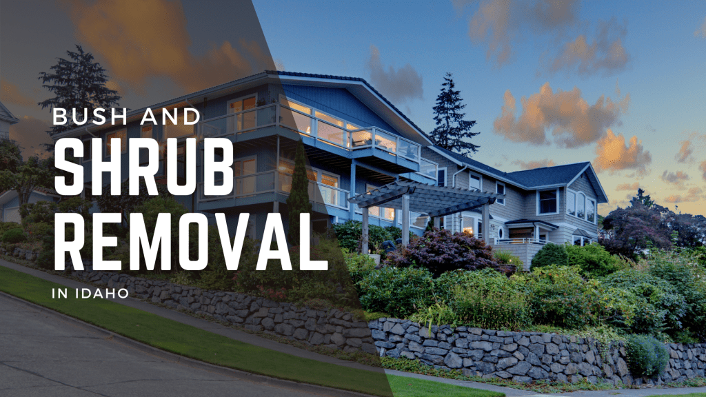 Bush and Shrub Removal in&nbsp;Idaho