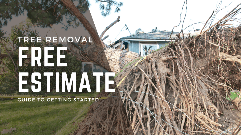 Tree Removal Free Estimate: Your Guide to Getting&nbsp;Started