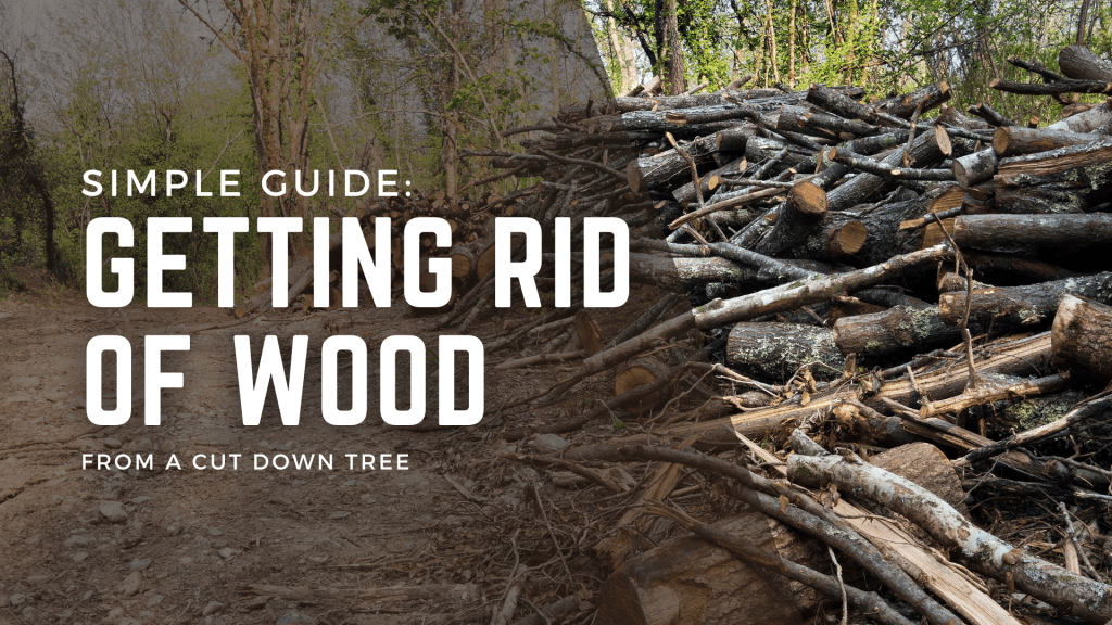 How to Get Rid of Wood from a Cut Down Tree: A Simple&nbsp;Guide